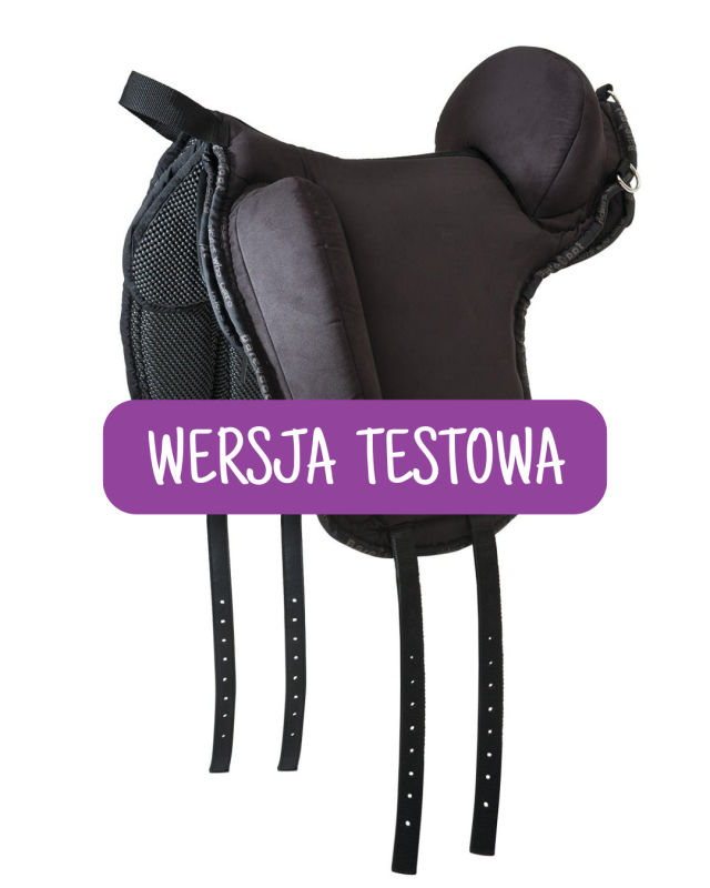 WERSJA TESTOWA (1).png