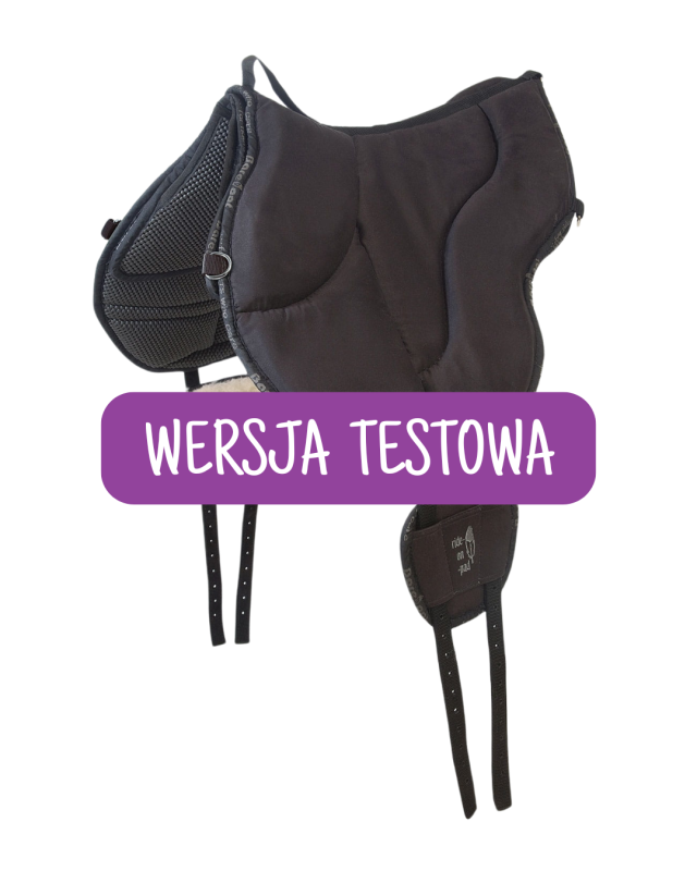 WERSJA TESTOWA (2).png