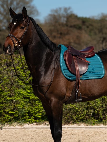 1026_3aa18378b9-1110-087-stripe-jump-saddle-pad-693-jade-noir-1400-1500x2000.jpg