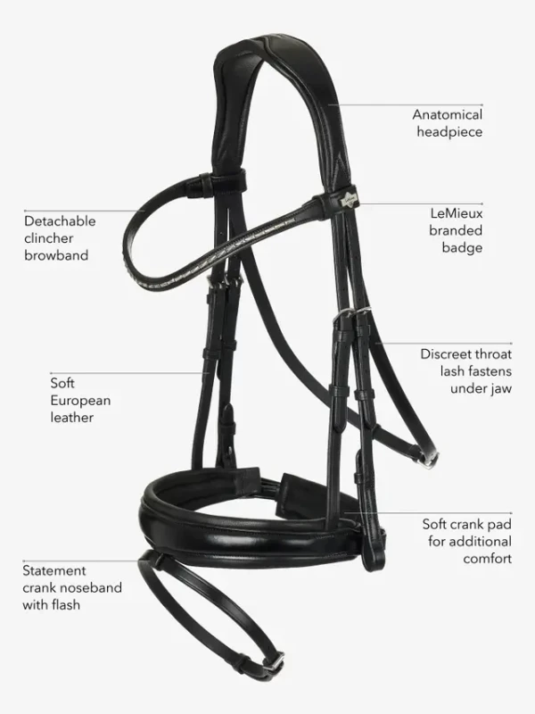 website_-_bride_-_features_-_dressage.webp