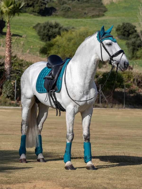 lm-loiredressage-peacock12-hr.webp