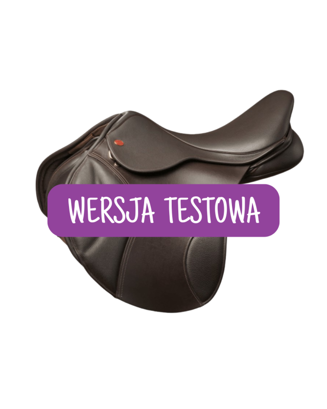 WERSJA TESTOWA.png