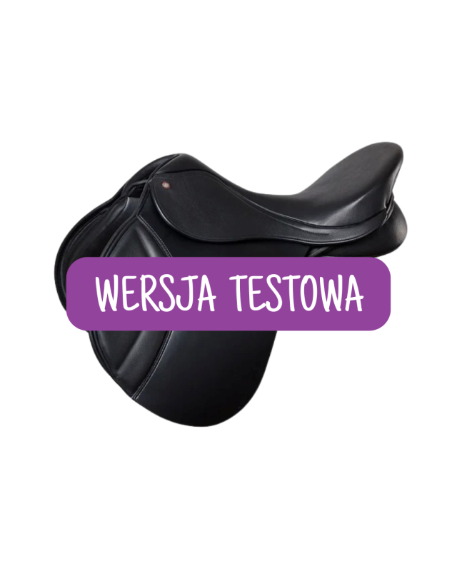 WERSJA TESTOWA.png