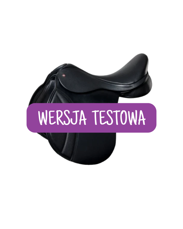 WERSJA TESTOWA.png