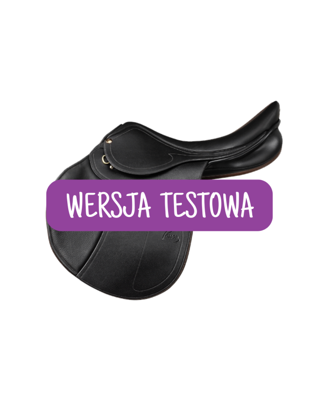 WERSJA TESTOWA (5).png