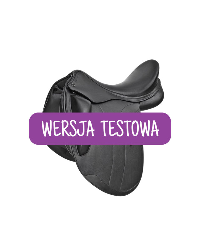 WERSJA TESTOWA (6).png