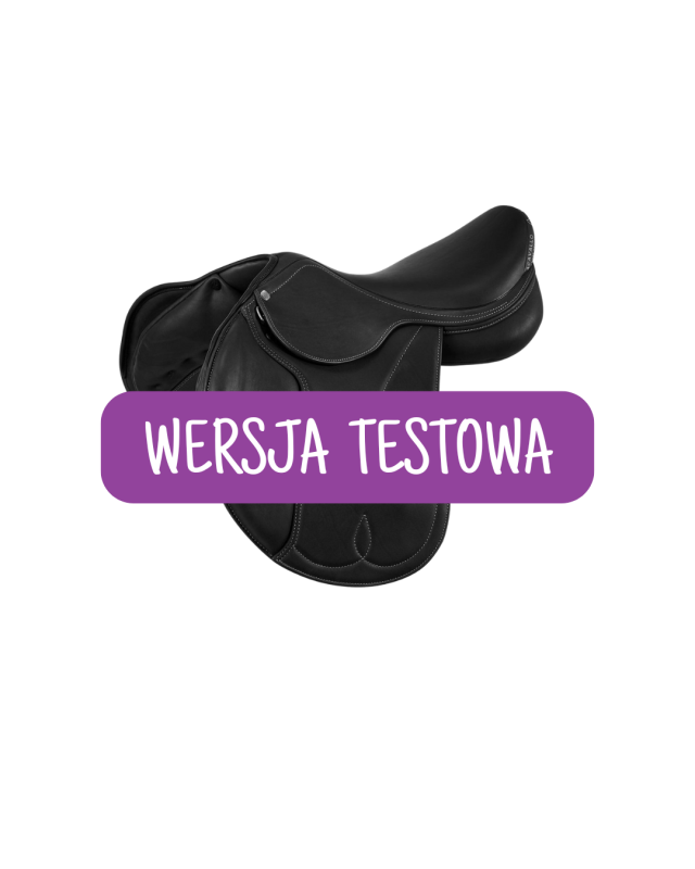 WERSJA TESTOWA (9).png