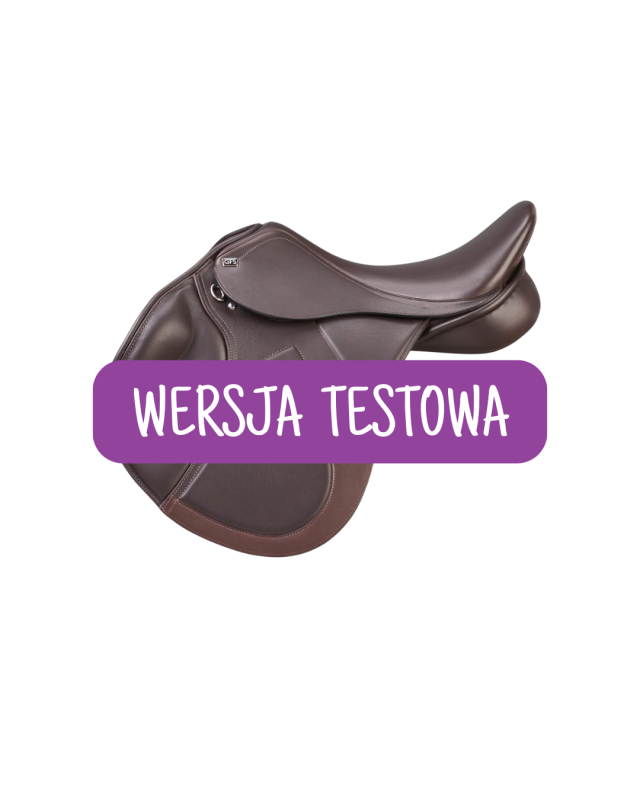 WERSJA TESTOWA (10).png