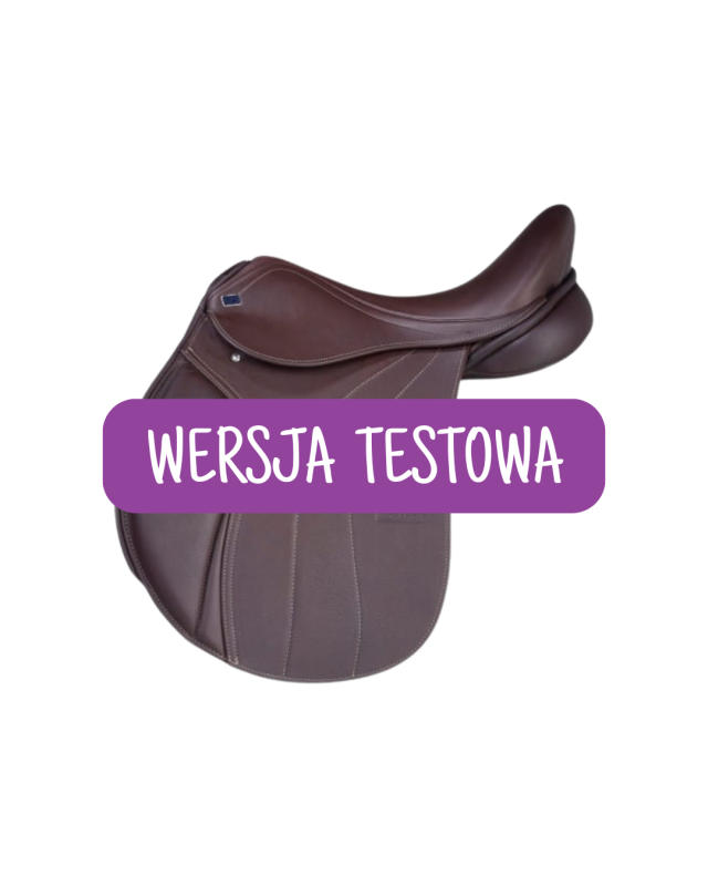 WERSJA TESTOWA (11).png