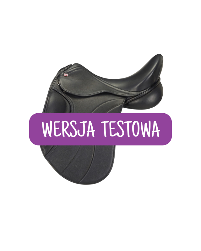 WERSJA TESTOWA (12).png