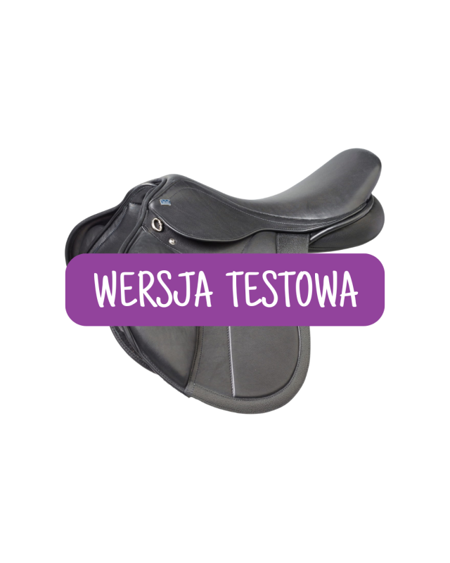WERSJA TESTOWA (13).png