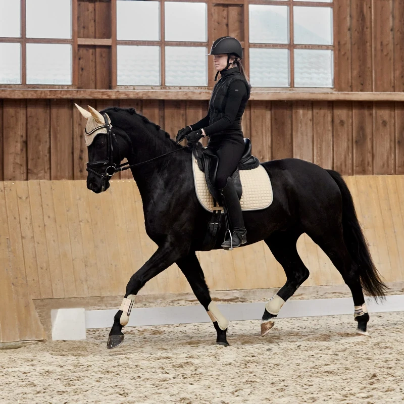 17343_SBR_5.webp