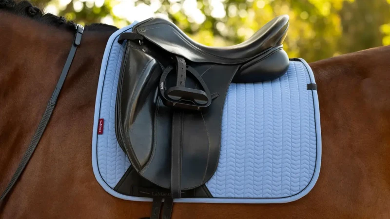 it08327_lifestyle_essencedressagesquare_powderblue_1.webp