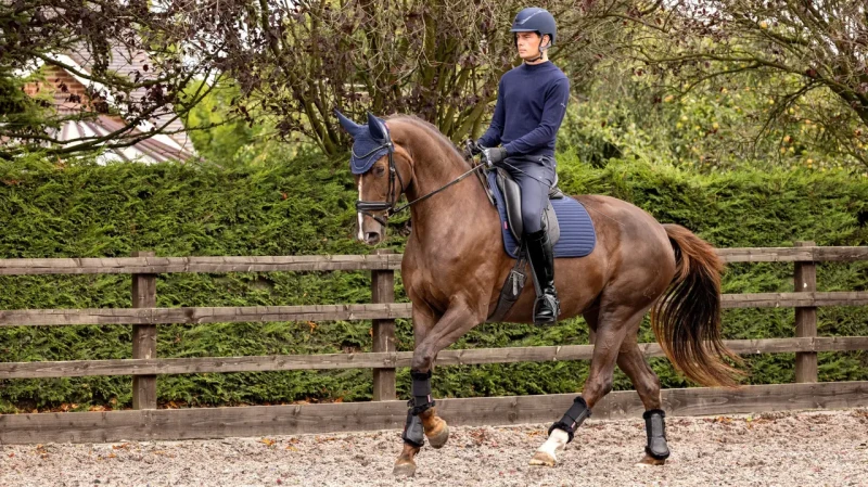 it02872_lifestyle_softshellantislippadsdressage_navy_5.webp