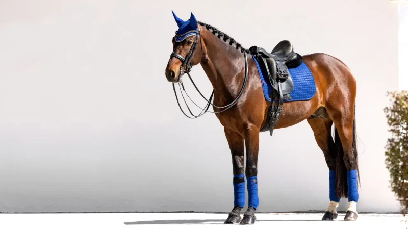it01282_lifestyle_suededressagesquare_benettonblue_6_copy.webp