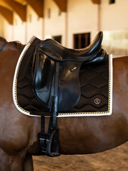 733_3d95227706-1110-040-saddle-pad-dressage-signature-890-java-noir-1500x2000-horse-full.webp