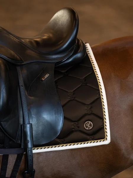 733_9b7411be91-1110-040-saddle-pad-dressage-signature-890-java-noir-1500x2000-horse-back-1.webp
