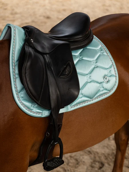 732_4cab9bc326-1110-039-saddle-pad-jump-signature-613-arctic-aqua-1500x2000-front.webp