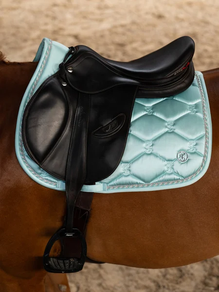 732_087a0a784d-1110-039-saddle-pad-jump-signature-613-arctic-aqua-1500x2000-side.webp