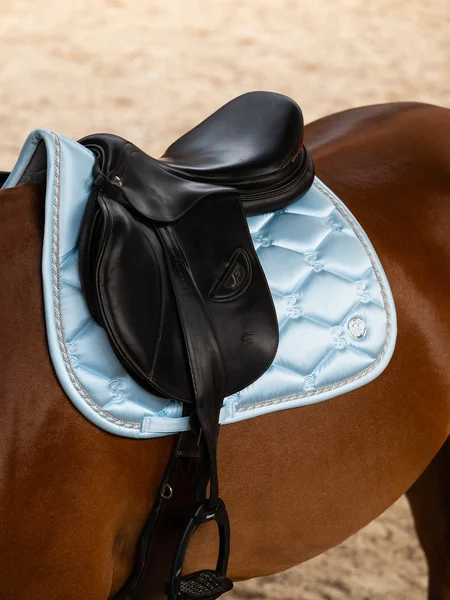 732_6c2637eb11-1110-039-saddle-pad-jump-signature-547-morning-breeze-1500x2000-front.webp