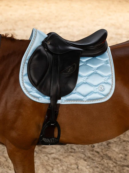732_547b8197bd-1110-039-saddle-pad-jump-signature-547-morning-breeze-1500x2000-side.webp