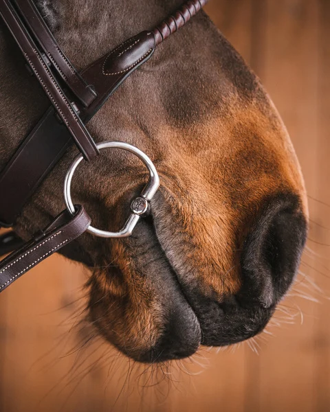 1179_43d4e5d4b7-sweet_iron_fixed_rings94679475.webp