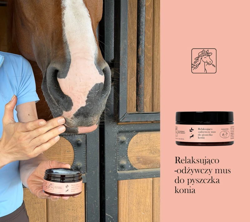 11876.jpg