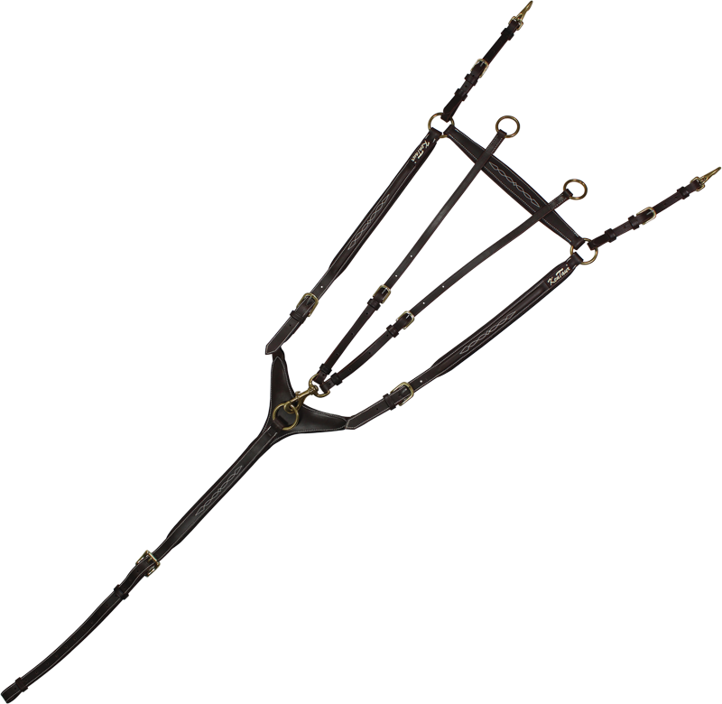 2184 (1).png