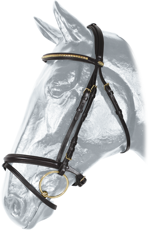 10208.png
