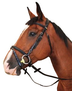 Ogłowie "Tryon" Kentaur 