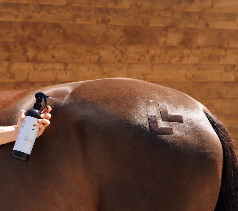 Mrozik-spray-chlodzaco-lagodzacy-dla-koni (2).webp
