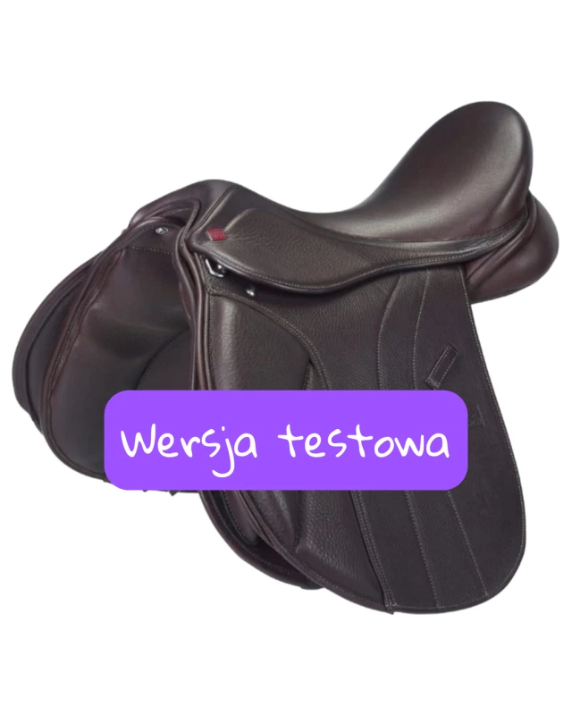 Wersja testowa(1).png