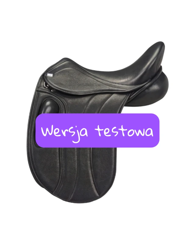 Wersja testowa(2).png
