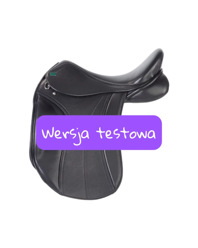 Wersja testowa(1).png