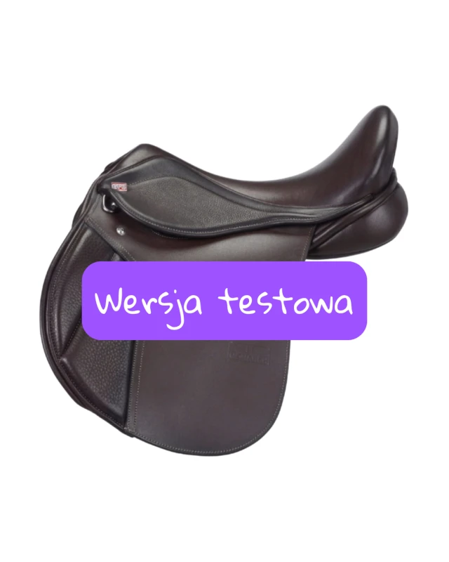 Wersja testowa(1).png