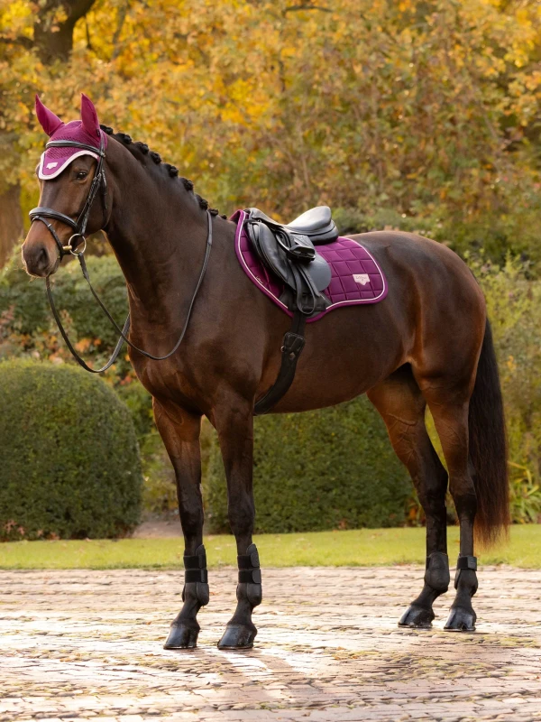 it09175_lifestyle_loireclassicccsquare_blackberry_01.jpg