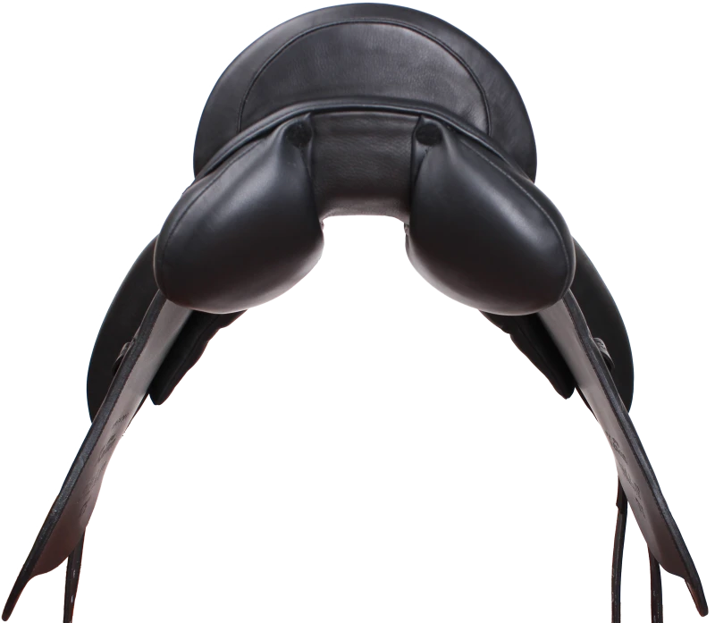 2_4BunVdS.webp
