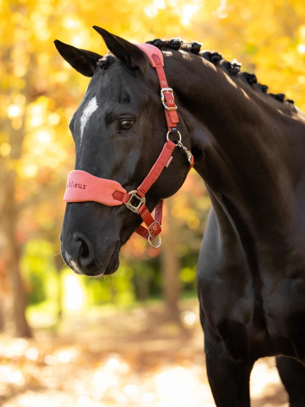 it09413_lifestyle_vogueheadcollarandleadrope_russet_02.jpg