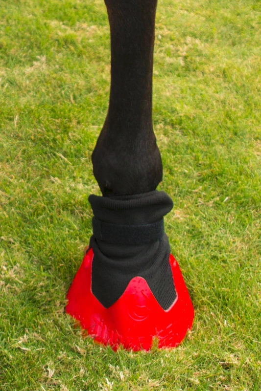 116638_Anwendungsbild__3210560_1271.jpg