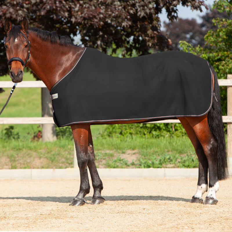48201_12.jpg