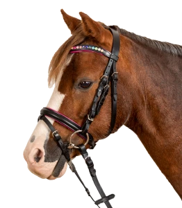 Ogłowie Pinky STAR