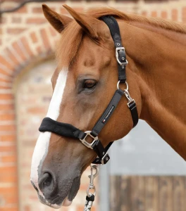 Kantar z podszyciem polarowym Premier Equine