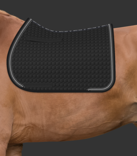 Zrzut ekranu 2024-08-26 160344.png