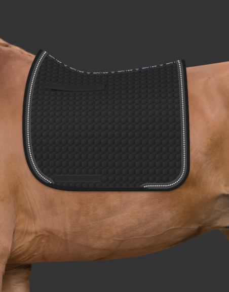 Zrzut ekranu 2024-08-26 160415.png