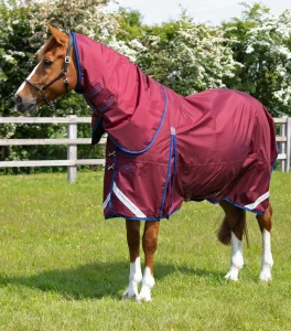 Derka padokowa z kapturem "Buster" 40g Premier Equine
