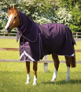 Derka padokowa z kapturem "Buster" 70g Premier Equine