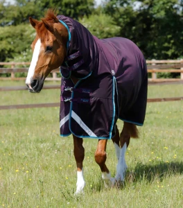 Derka padokowa z kapturem "Buster Storm" 100g Premier Equine