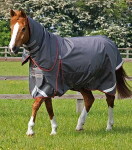 Derka padokowa z kapturem "Buster" 150g Premier Equine