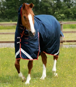 Derka padokowa z kapturem "Buster Storm" 200g Premier Equine