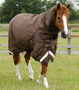 Derka padokowa z kapturem "Buster" 400g Premier Equine